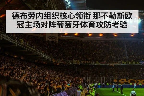 football stadium night crowd